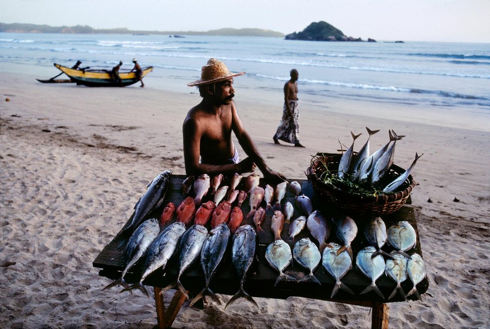 SRILANKA-10051, Fish seller, Sri Lanka, 1995